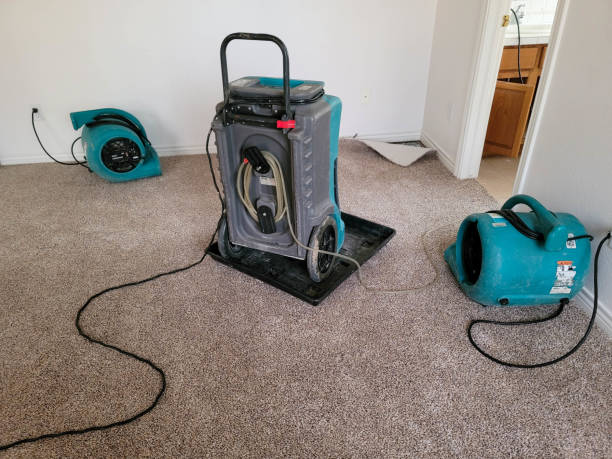 Best Fire Damage Restoration  in El Macero, CA