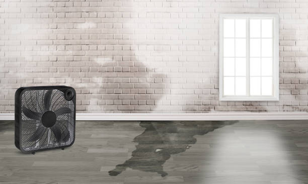 Best Water damage restoration services  in El Macero, CA