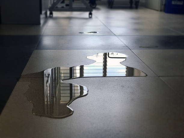 Best Basement water damage restoration  in El Macero, CA